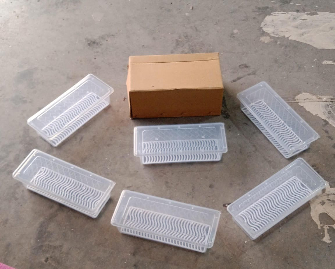 Vegetables Fruits Freezer Storage Container (Pack Of 6pc 1500ml)