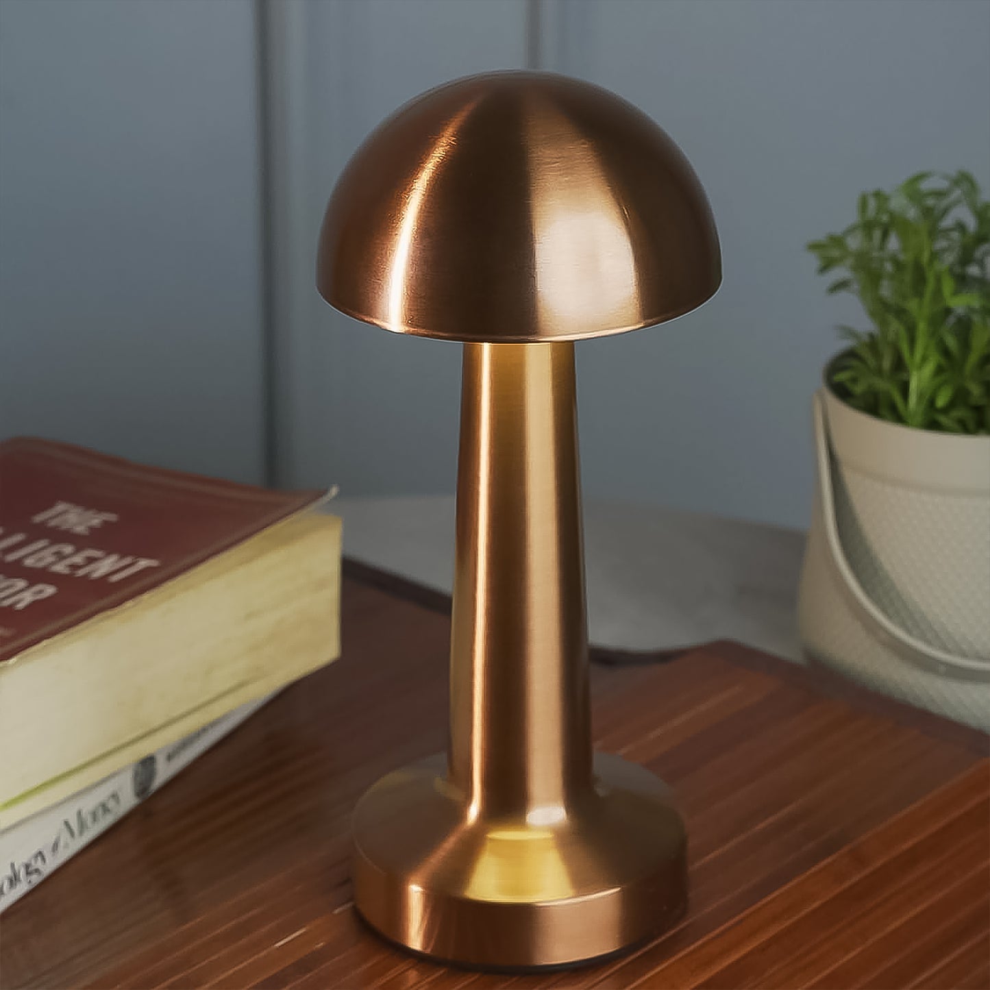Decorative Metal Portable Led Lamp With Touch Control