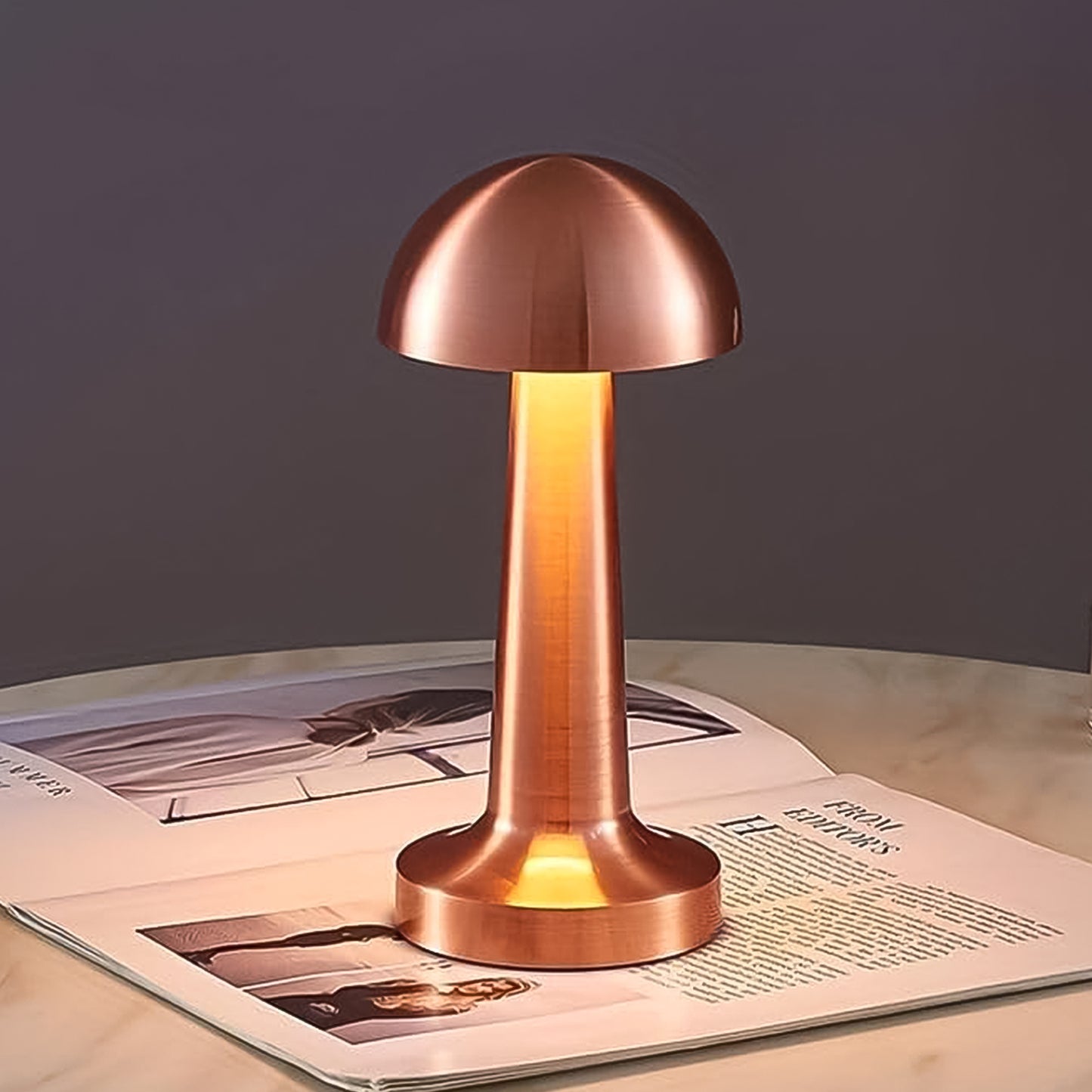 Decorative Metal Portable Led Lamp With Touch Control